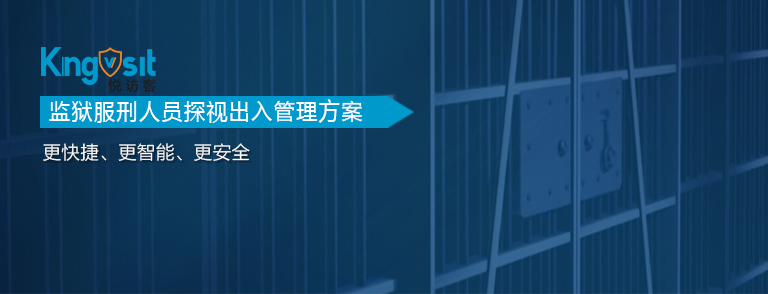 访客机